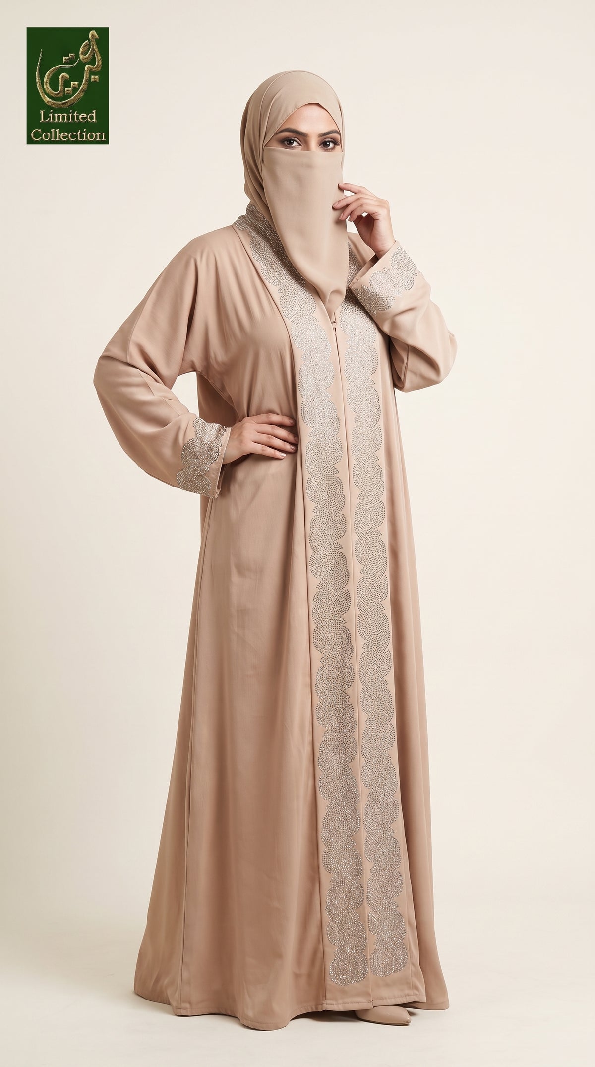 Front-Open Rose Vine Panel Stonework Abaya | Premium Romantic Nida Colored Stone-Embellished Abaya